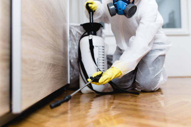 Best Affordable Pest Control Services  in Rantoul, IL