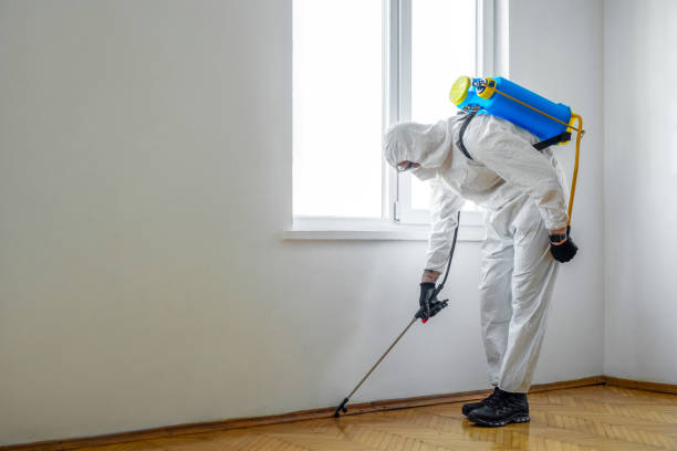 Best Pest Prevention Services  in Rantoul, IL