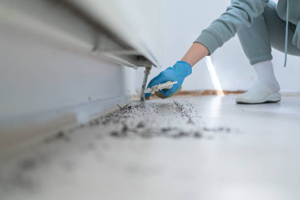 Professional Pest Control in Rantoul, IL